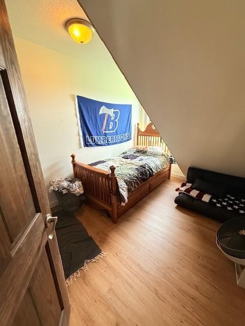 24651 Beltrami Line Road Bemidji, MN 56601 - Photo 22 of 30