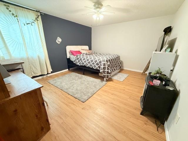 24651 Beltrami Line Road Bemidji, MN 56601 - Photo 28 of 30