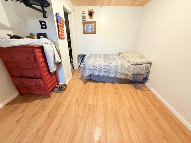 24651 Beltrami Line Road Bemidji, MN 56601 - Photo 29 of 30