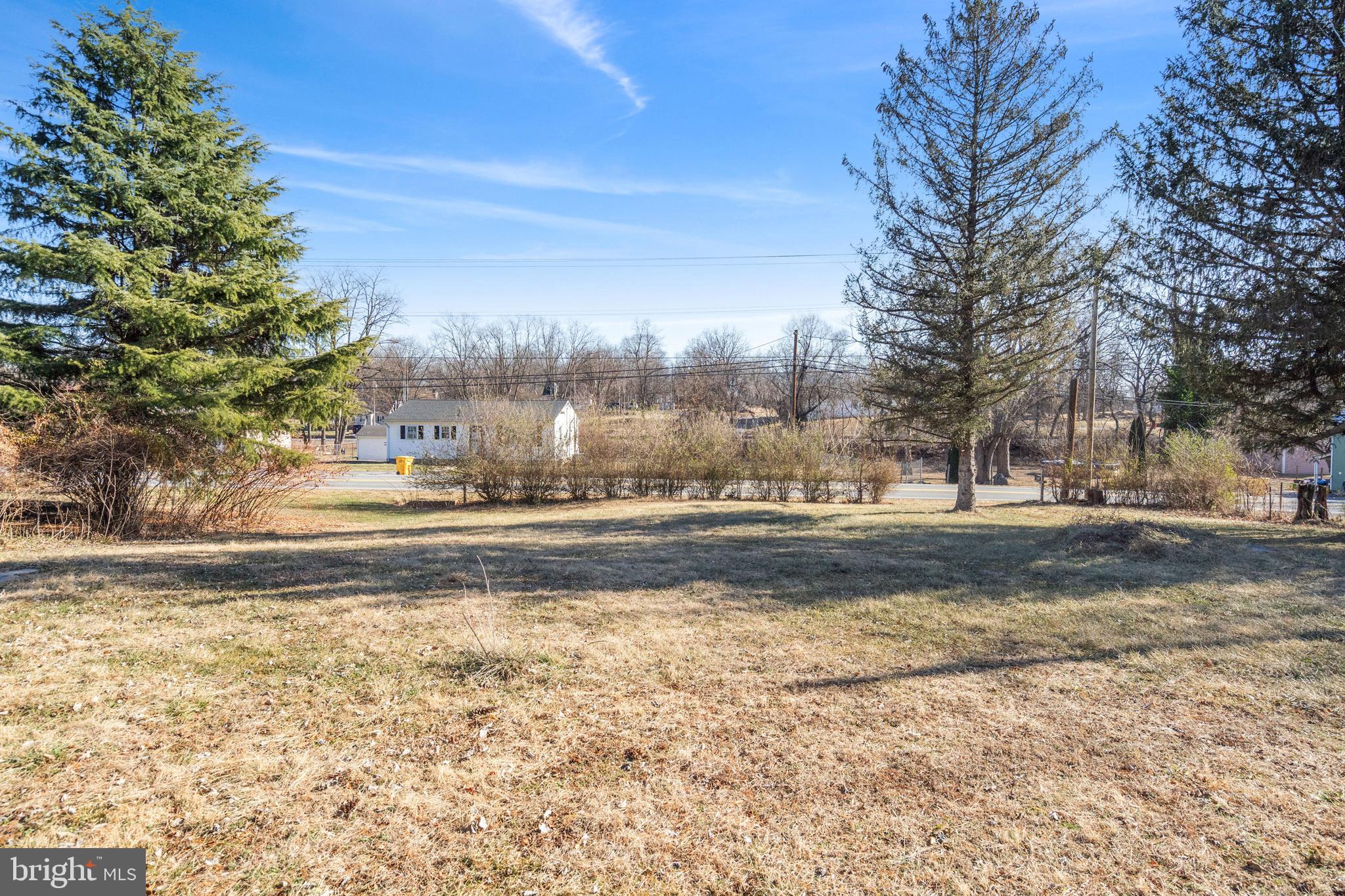 a view of dirt yard with a large tree