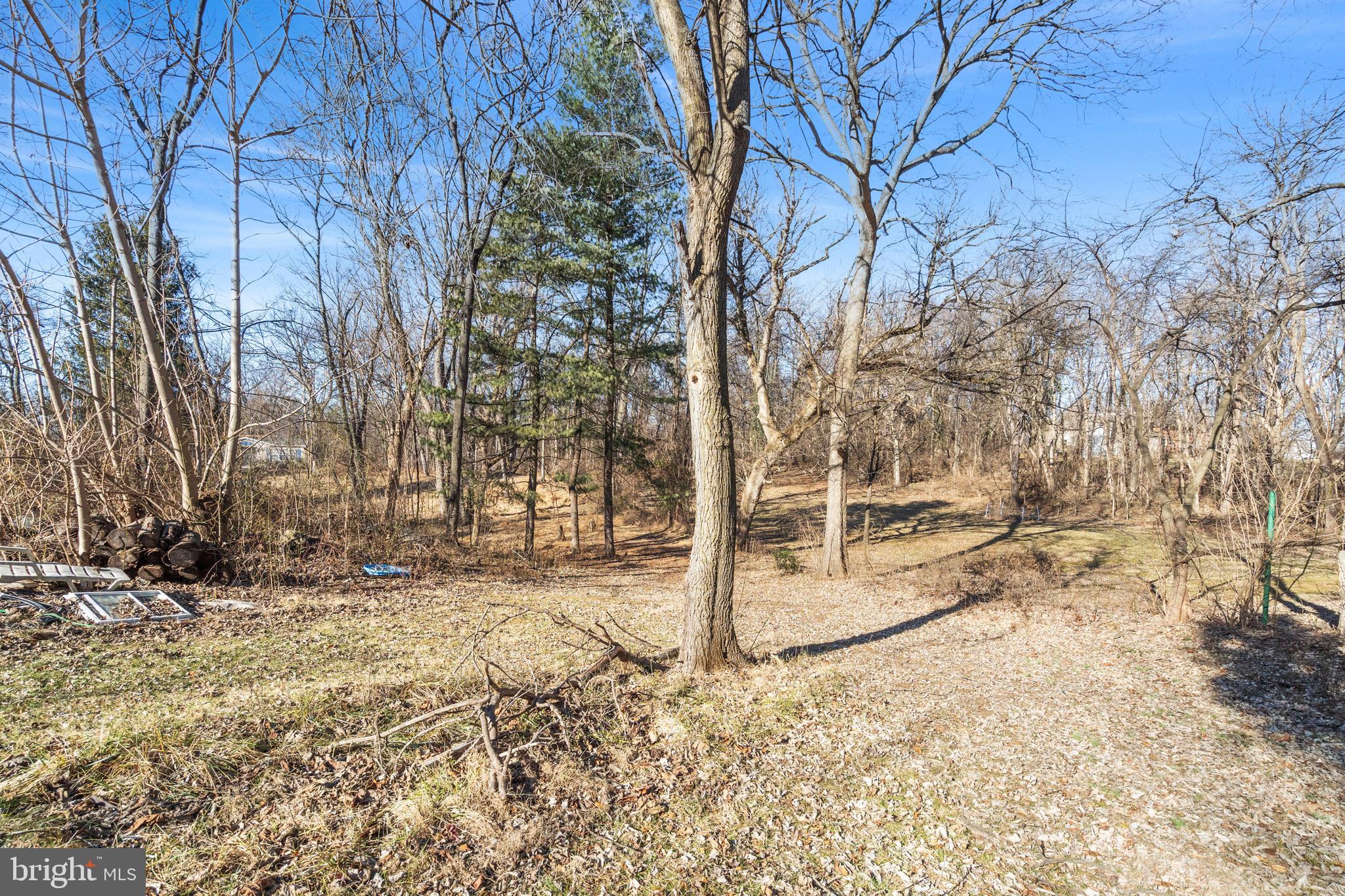 5664 Charles Town Road Kearneysville, WV 25430 - Photo 3 of 8 a view of a yard with trees