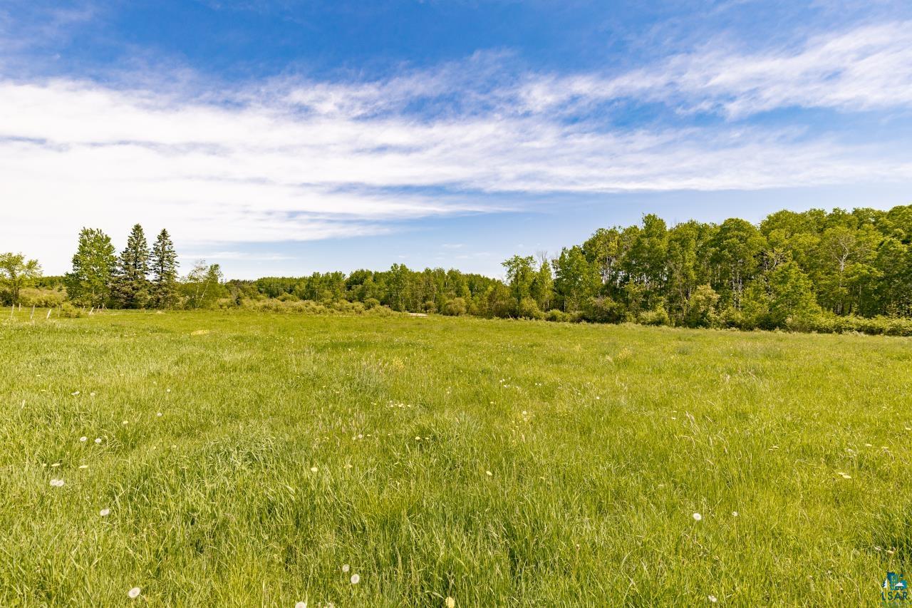 6606 Metso Road Kettle River, MN 55757 - Photo 70 of 84 Expansive grassy field with a backdrop of mature trees