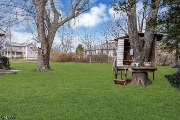 a view of a park with a bench and a large tree
