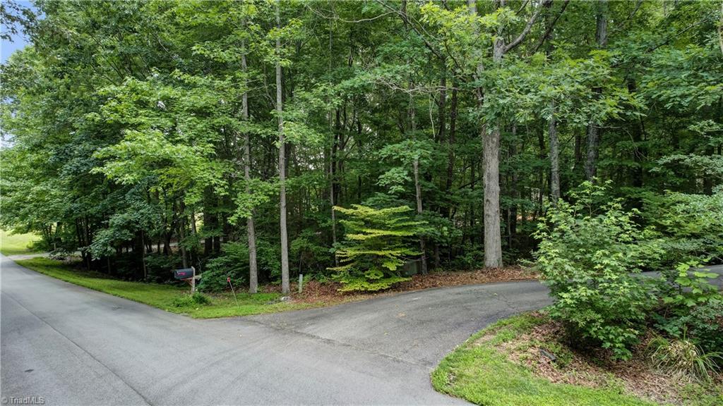 4008 Windspray Loop Summerfield, NC 27358 - Photo 4 of 38