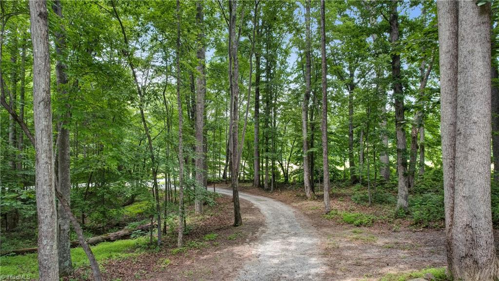 4008 Windspray Loop Summerfield, NC 27358 - Photo 6 of 38