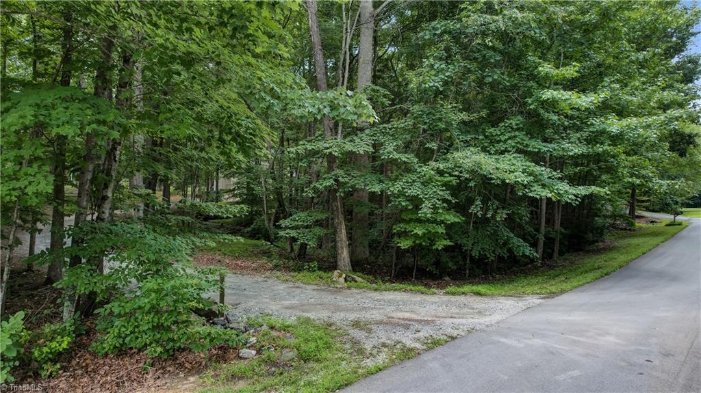 4008 Windspray Loop Summerfield, NC 27358 - Photo 7 of 38