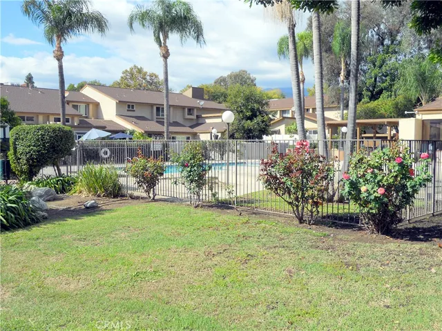 a view of a park with large trees