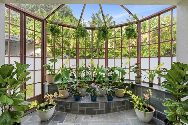 a view of a potted plant in front of a building
