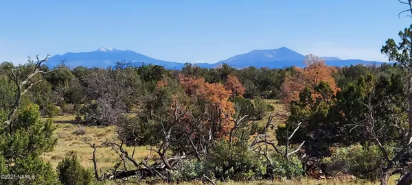 a view of a mountain in the distance