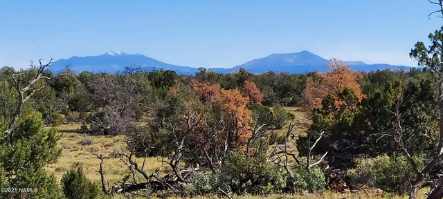 $110,000 | 6863 North State Route 64, Williams, AZ 86046