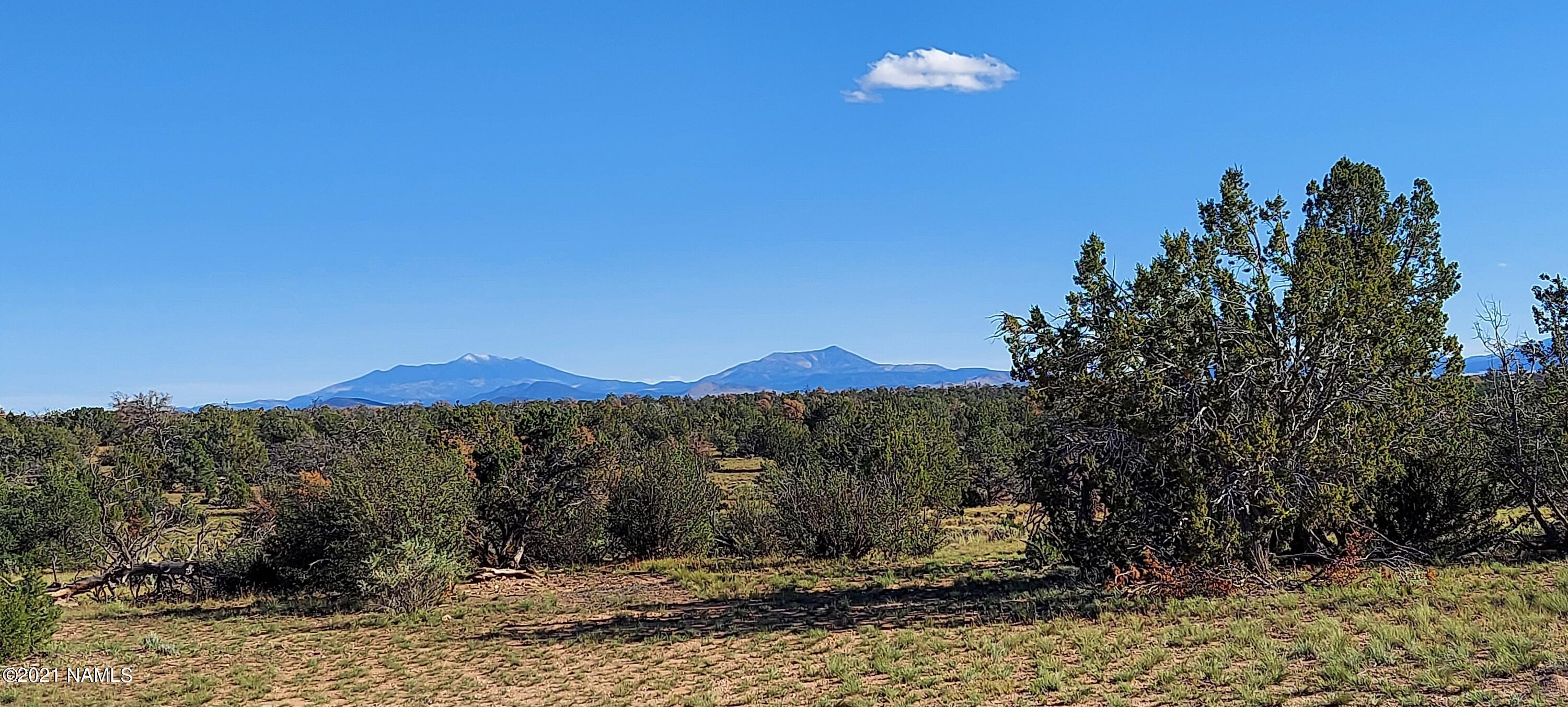 6863 North State Route 64 Williams, AZ 86046 - Photo 11 of 98 20211009_152135