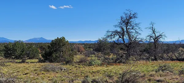 a view of a dry yard with wooden fence and a mountain view