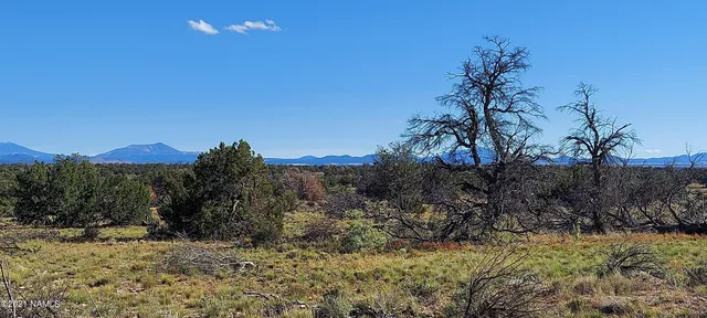 a view of a dry yard with wooden fence and a mountain view