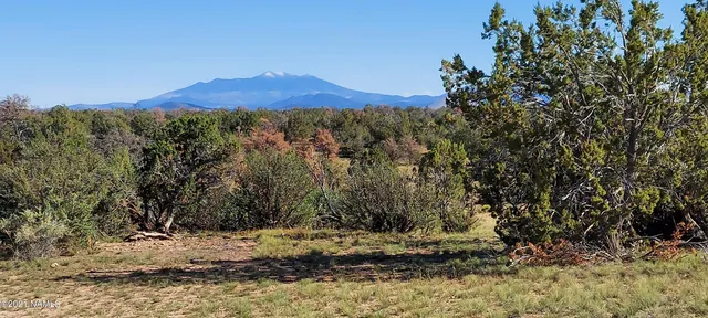 a view of a yard with wooden fence