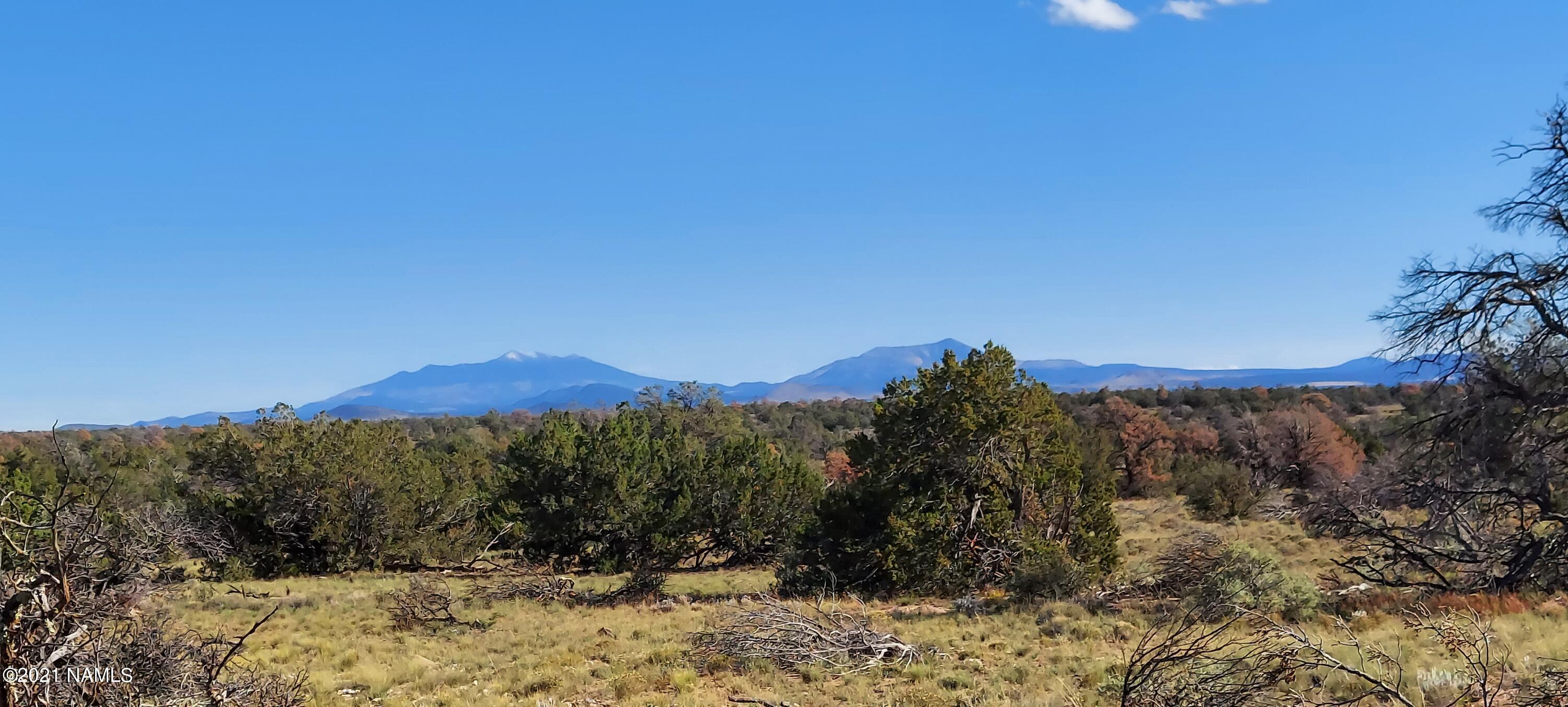 6863 North State Route 64 Williams, AZ 86046 - Photo 16 of 98 20211009_151937