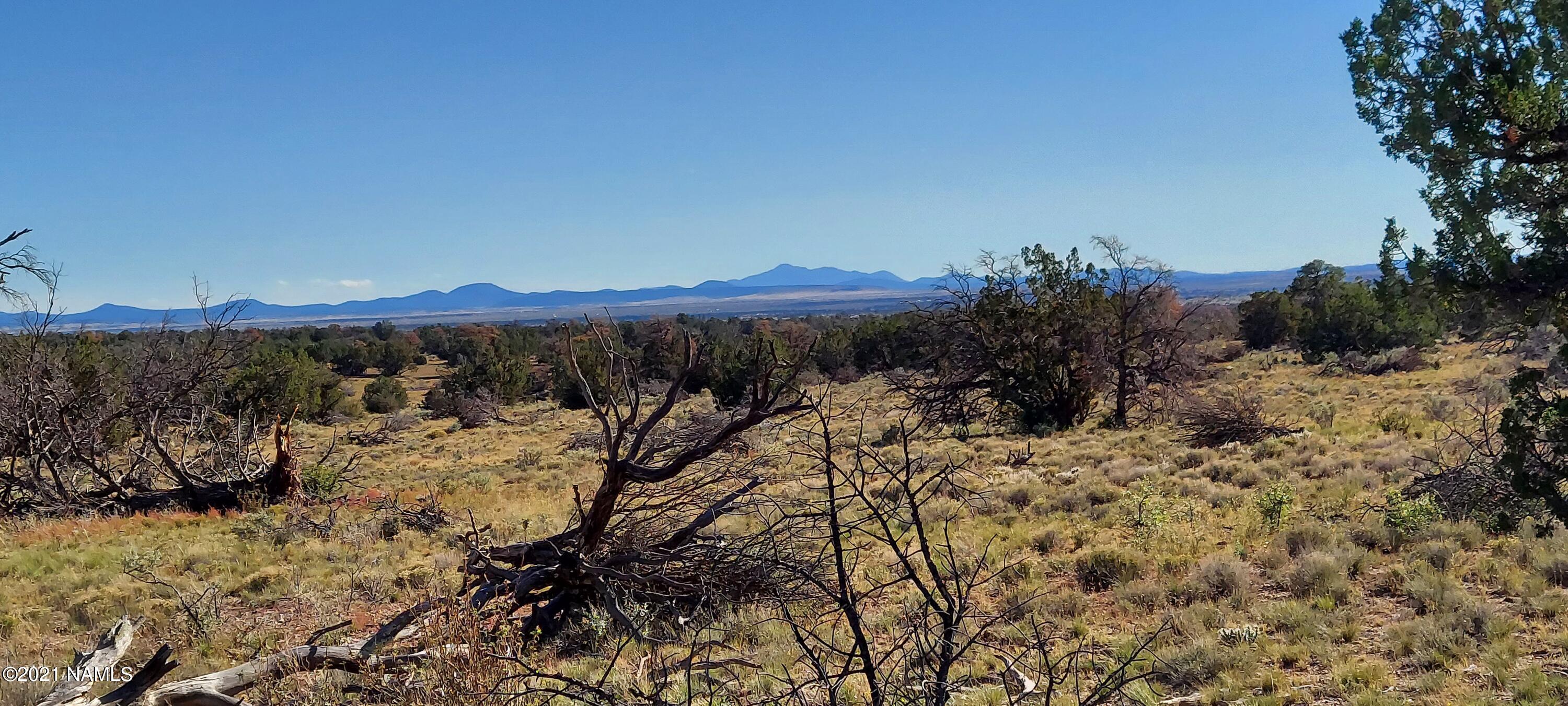 6863 North State Route 64 Williams, AZ 86046 - Photo 18 of 98 20211009_151933