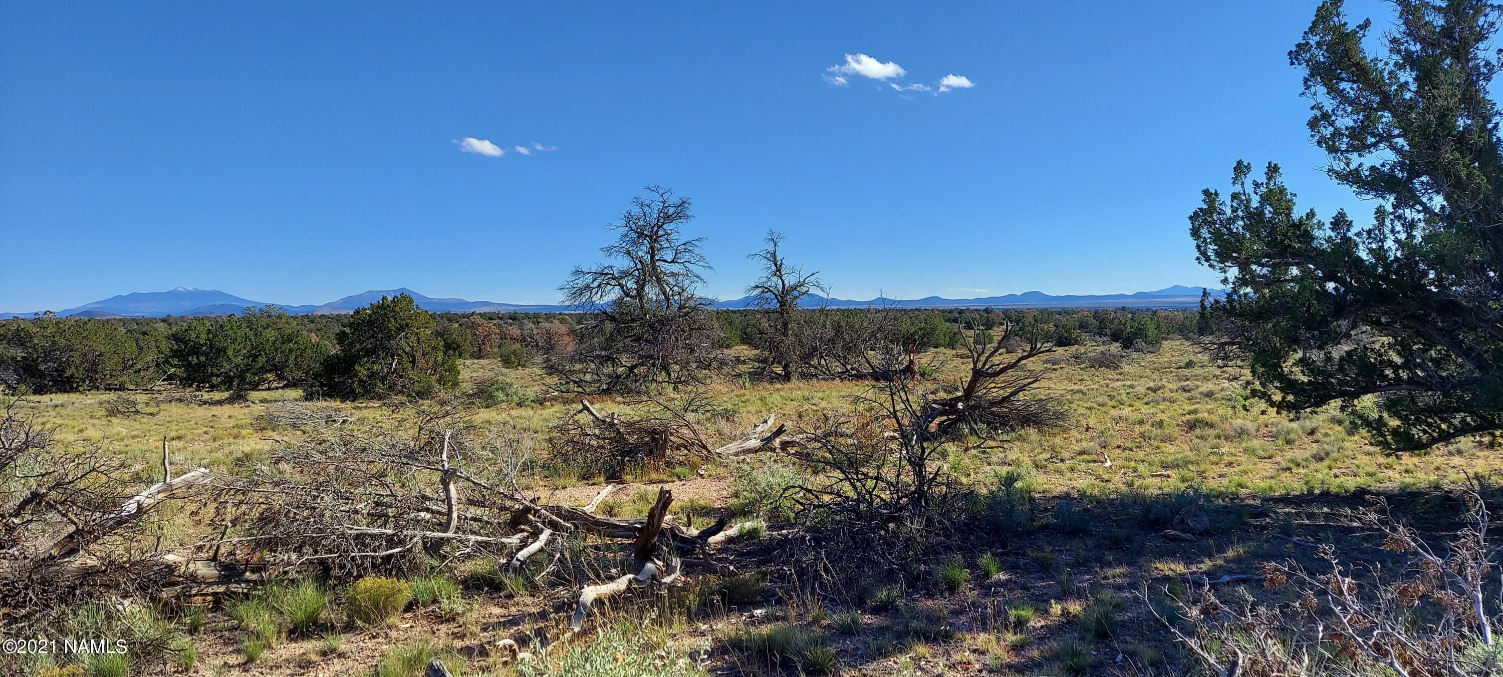 6863 North State Route 64 Williams, AZ 86046 - Photo 20 of 98 20211009_151922