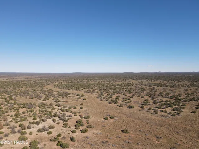 a view of a yard covered in snow