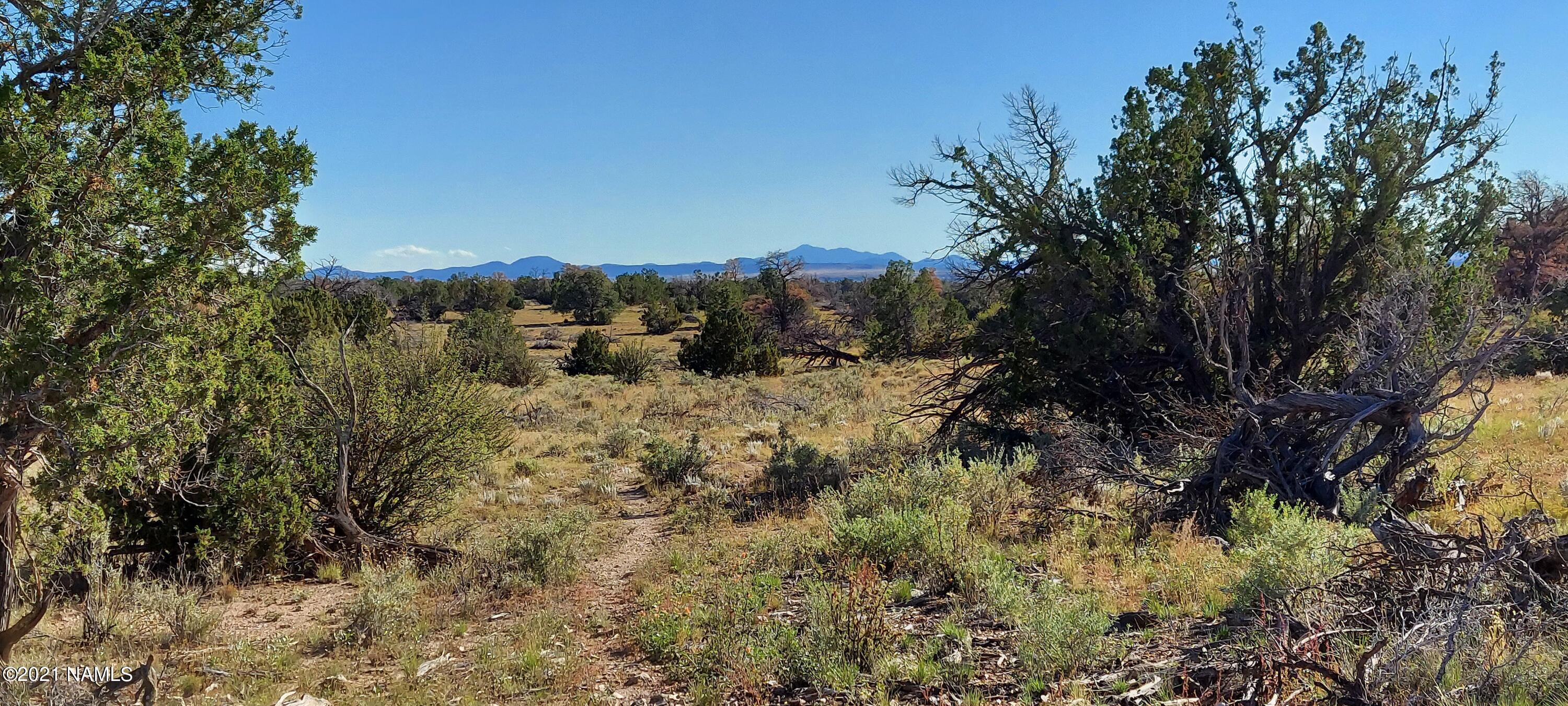 6863 North State Route 64 Williams, AZ 86046 - Photo 30 of 98 20211009_151551