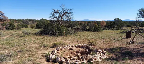 a view of a dry yard with trees
