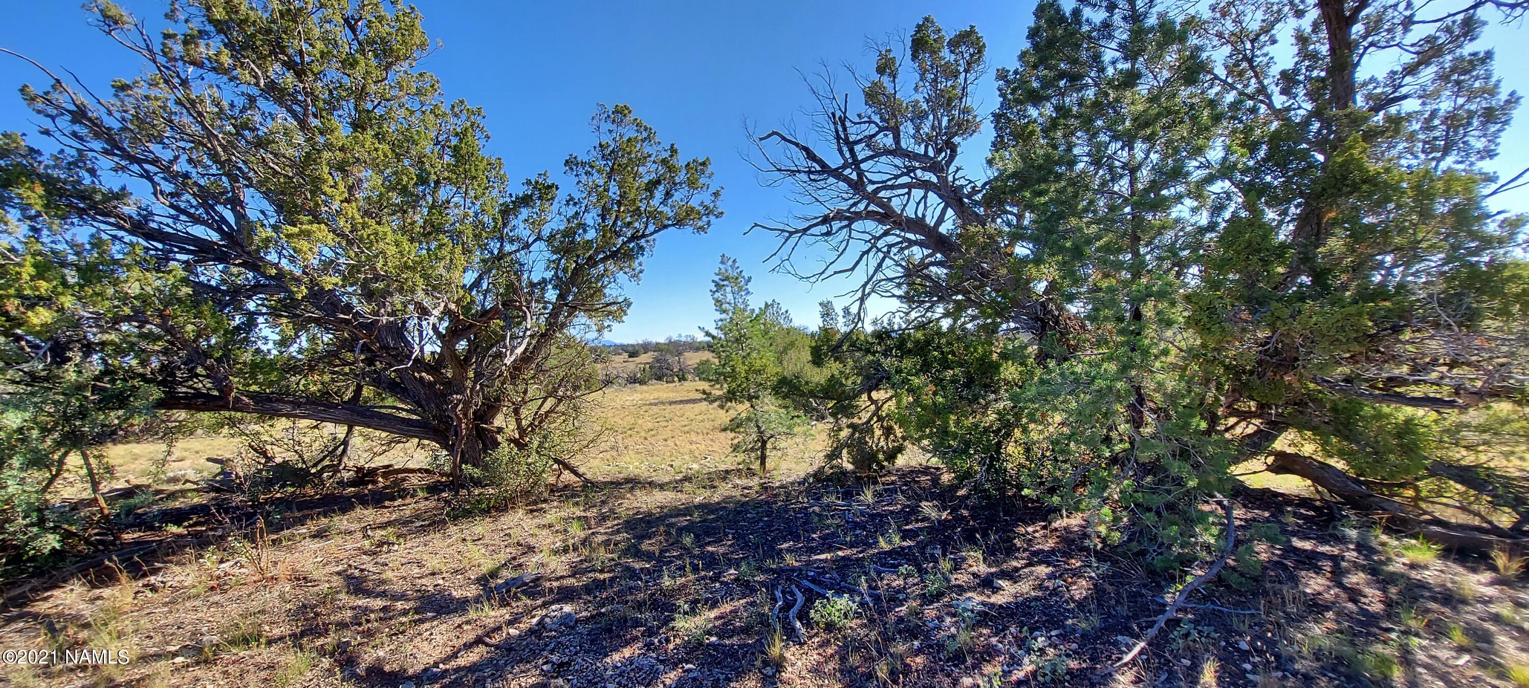 6863 North State Route 64 Williams, AZ 86046 - Photo 32 of 98 20211009_151427