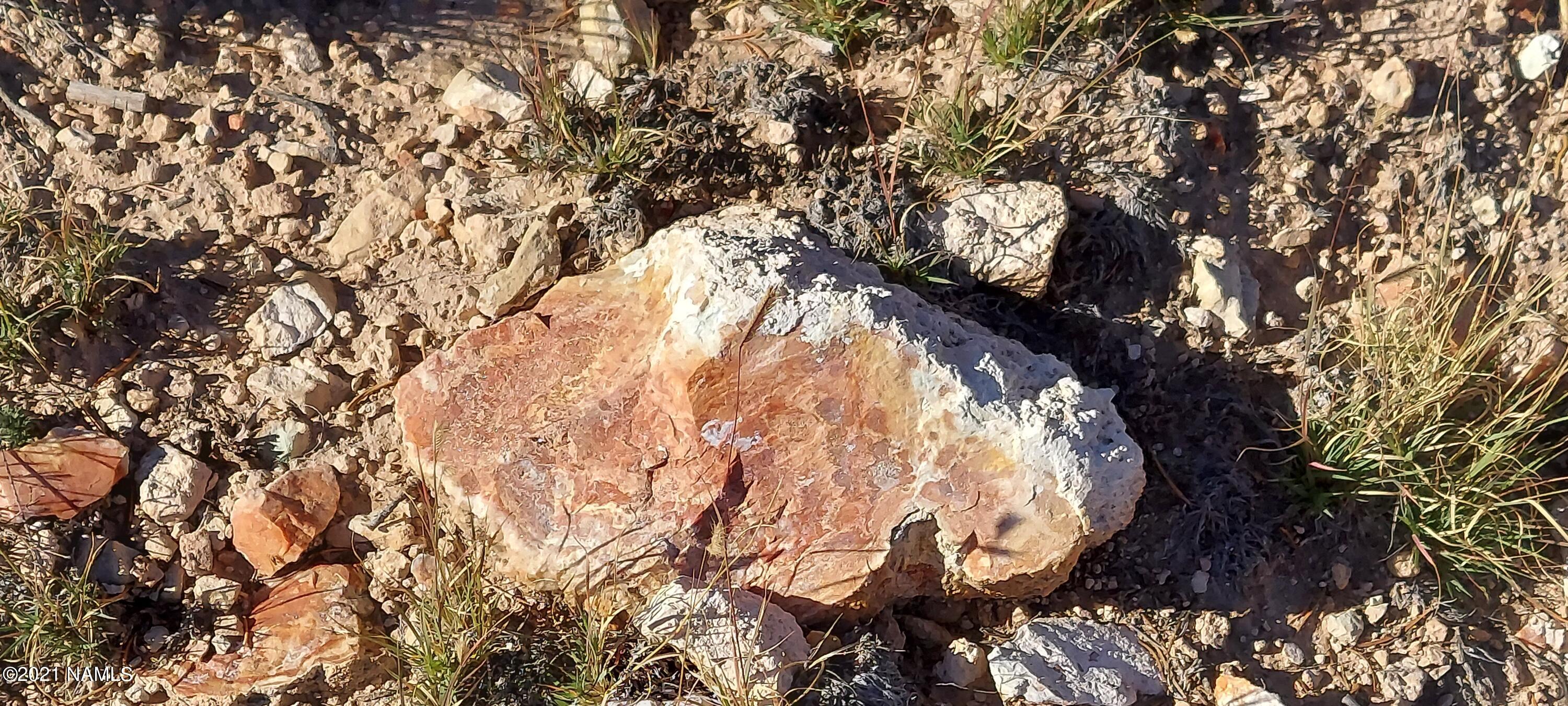 6863 North State Route 64 Williams, AZ 86046 - Photo 34 of 98 20211009_151311