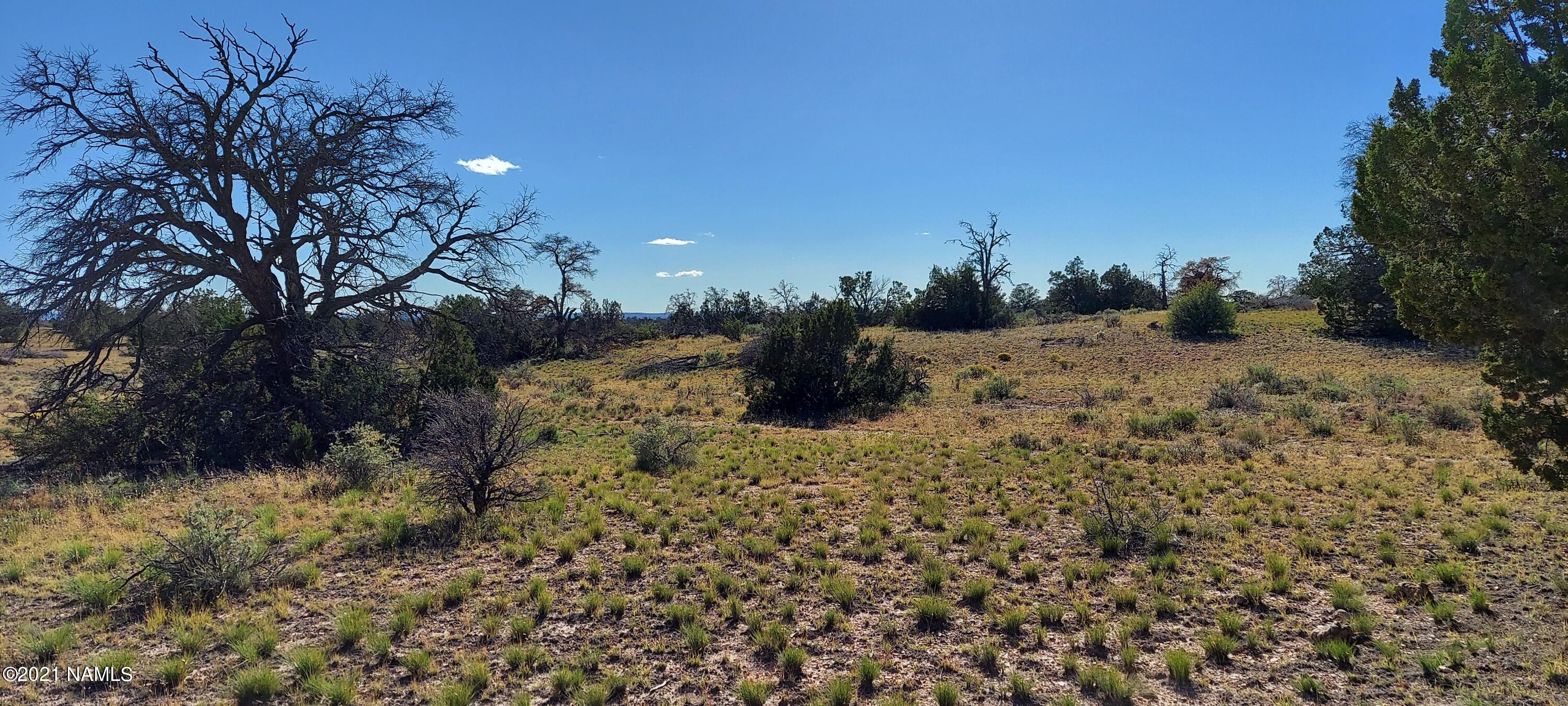 6863 North State Route 64 Williams, AZ 86046 - Photo 38 of 98 20211009_151239