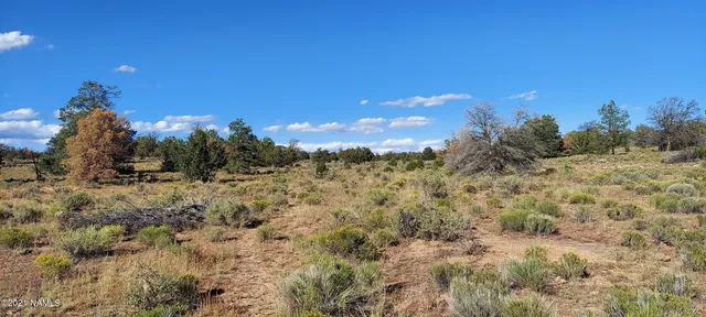 a view of outdoor space