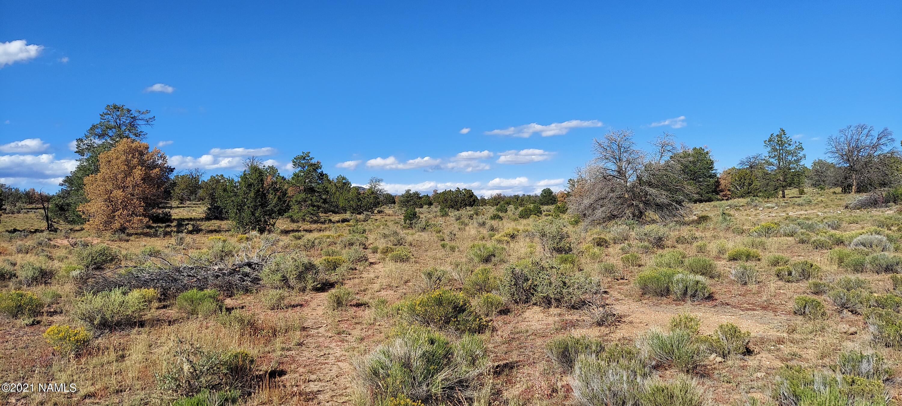 6863 North State Route 64 Williams, AZ 86046 - Photo 40 of 98 20211009_150850