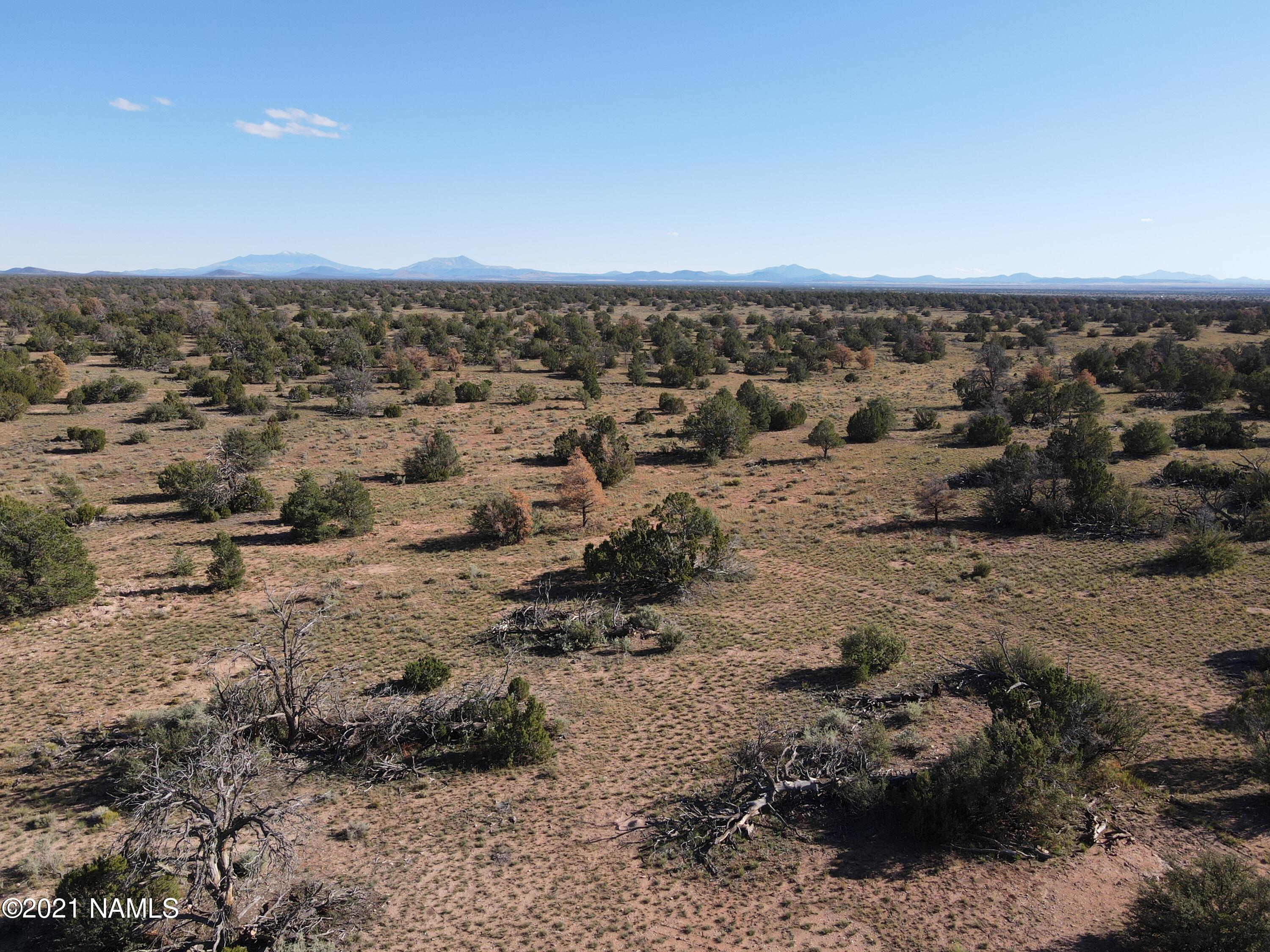 6863 North State Route 64 Williams, AZ 86046 - Photo 4 of 98 DJI_0003