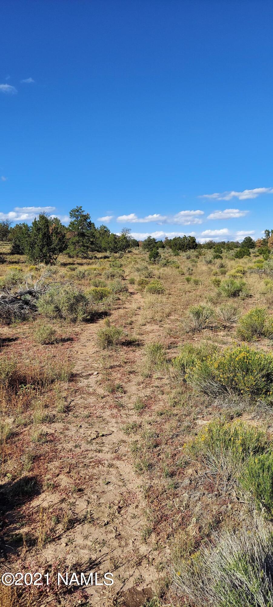 6863 North State Route 64 Williams, AZ 86046 - Photo 42 of 98 20211009_150823