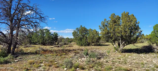 a view of a city with a mountain in the background
