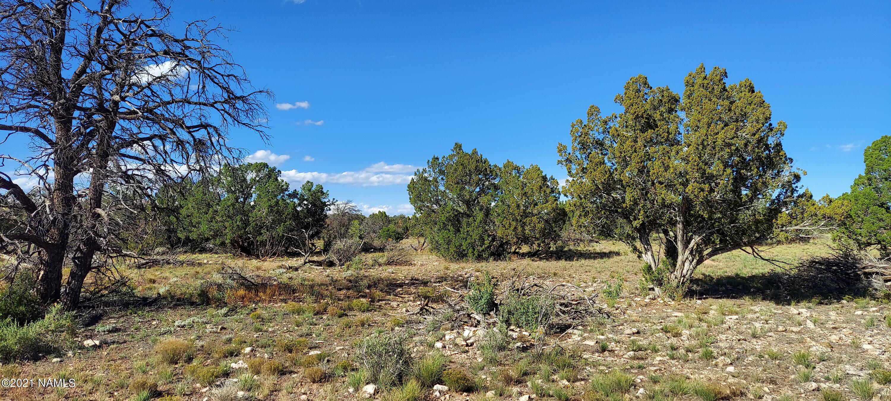 6863 North State Route 64 Williams, AZ 86046 - Photo 44 of 98 20211009_150649