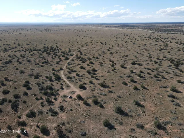 a view of a mountain with a tree in the background