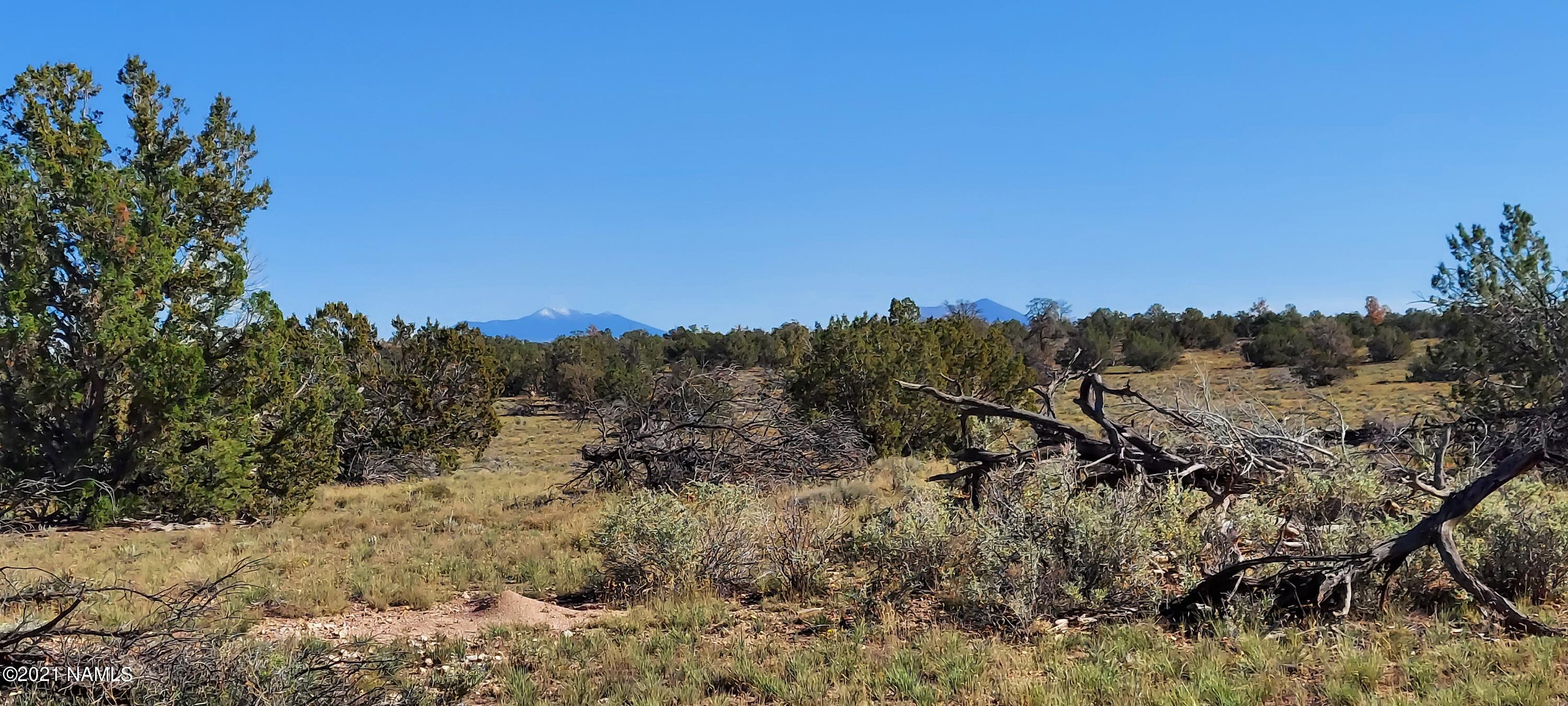 6863 North State Route 64 Williams, AZ 86046 - Photo 48 of 98 20211009_150512