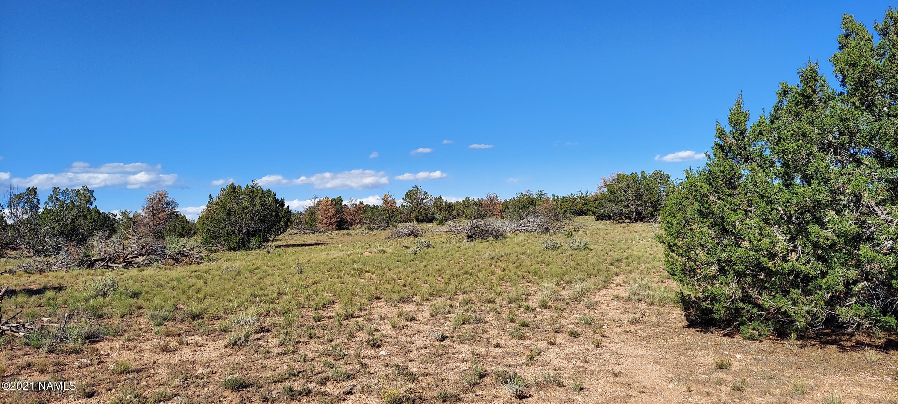 6863 North State Route 64 Williams, AZ 86046 - Photo 50 of 98 20211009_150459