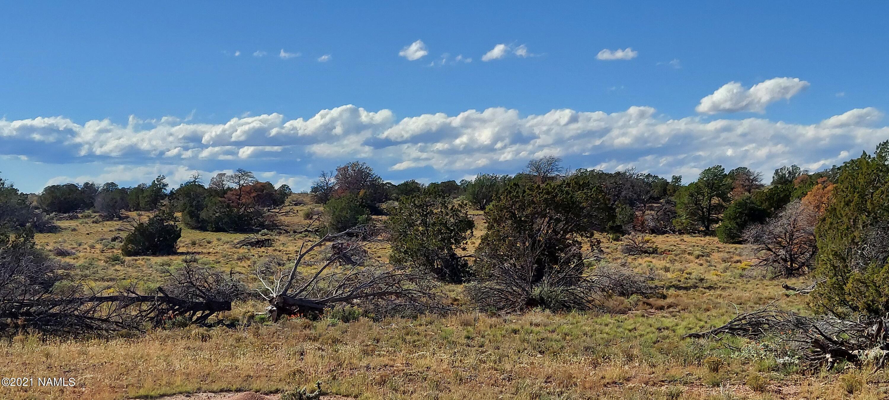 6863 North State Route 64 Williams, AZ 86046 - Photo 5 of 98 20211009_150639
