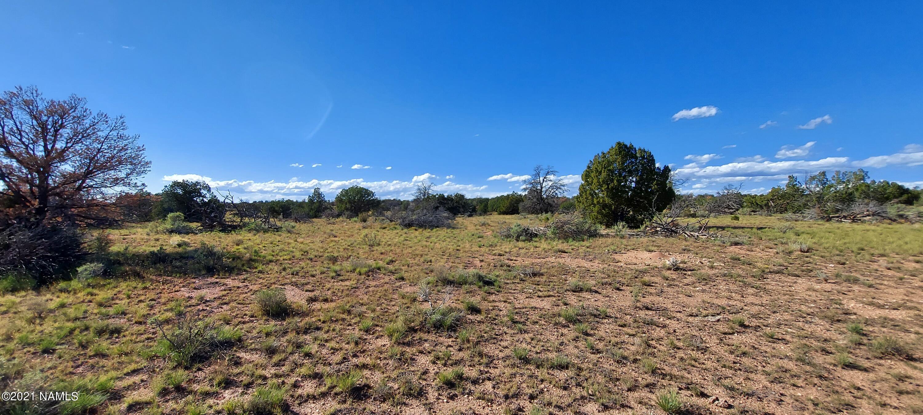 6863 North State Route 64 Williams, AZ 86046 - Photo 52 of 98 20211009_150444