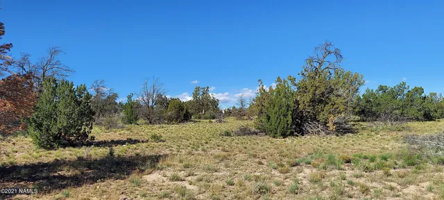 $110,000 | 6863 North State Route 64, Williams, AZ 86046