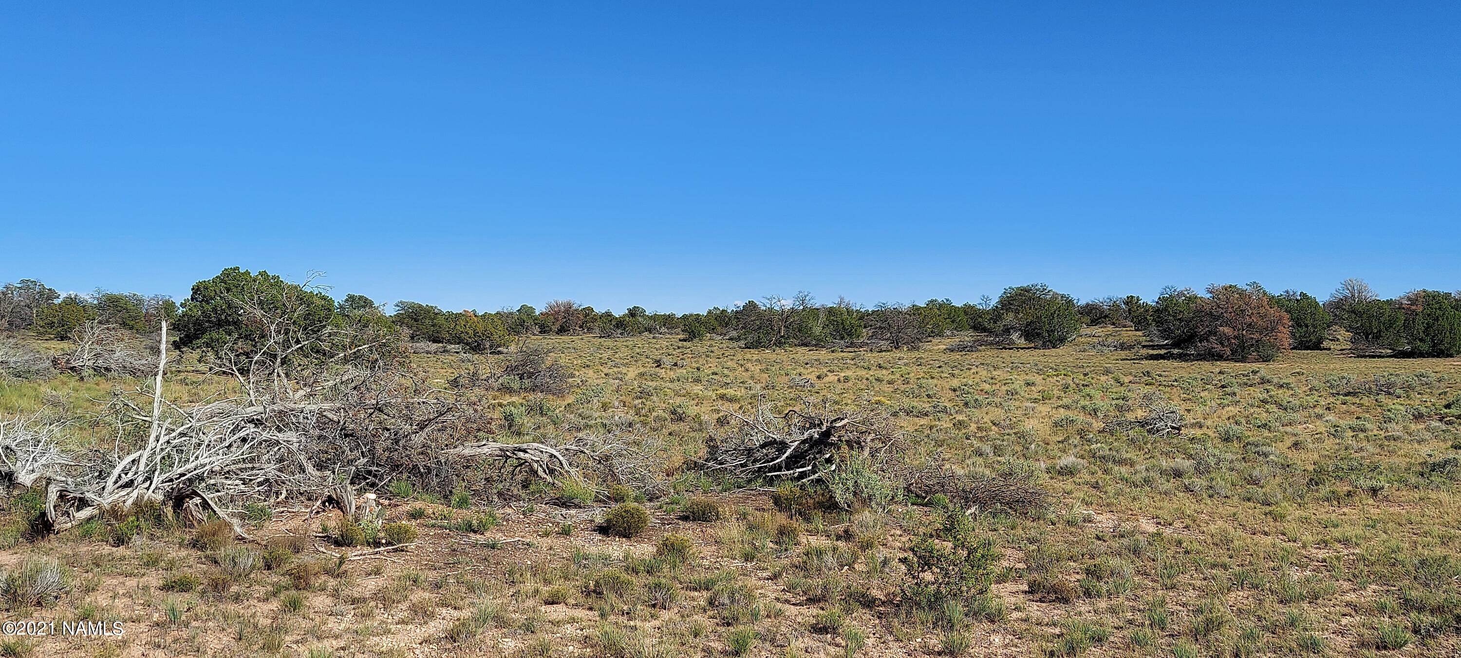 6863 North State Route 64 Williams, AZ 86046 - Photo 56 of 98 20211009_145514