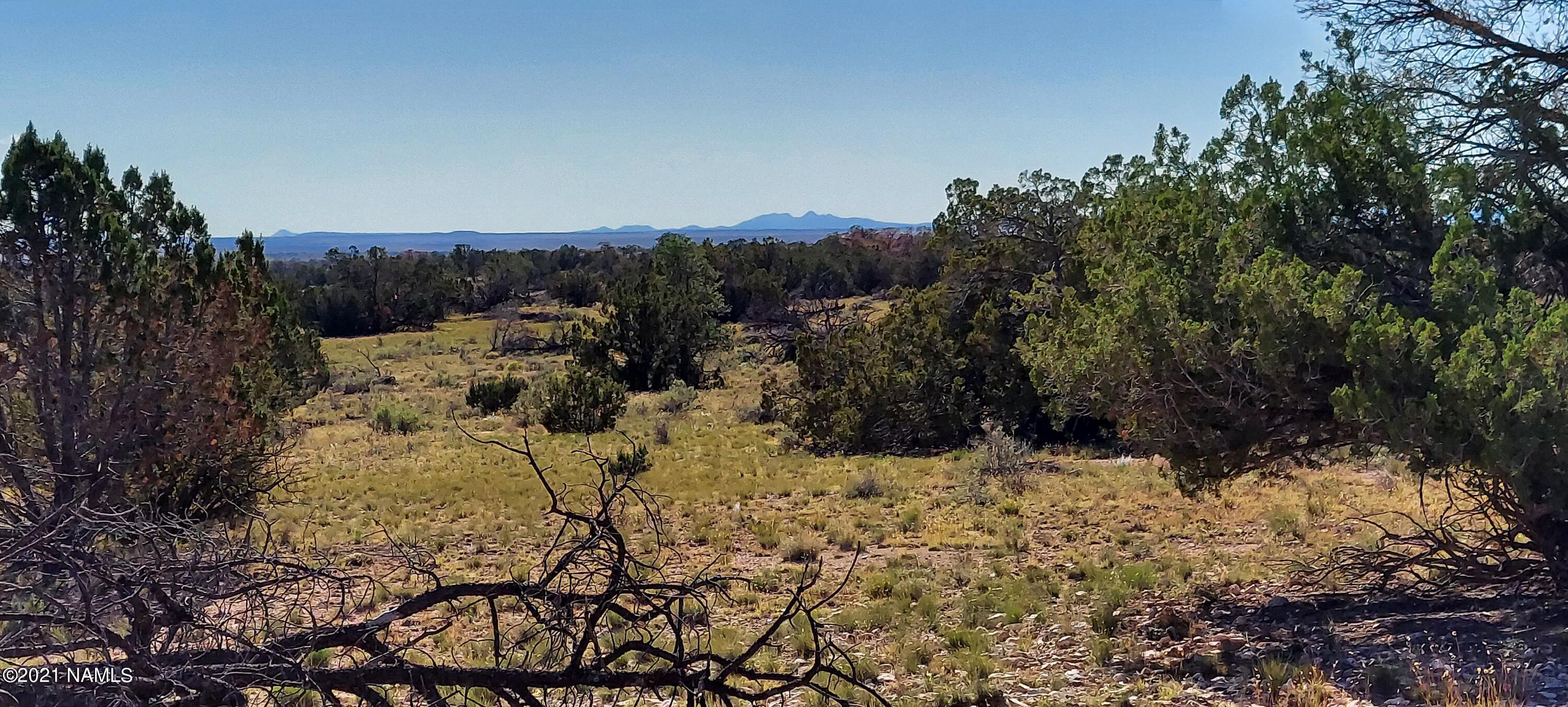 6863 North State Route 64 Williams, AZ 86046 - Photo 60 of 98 20211009_145244