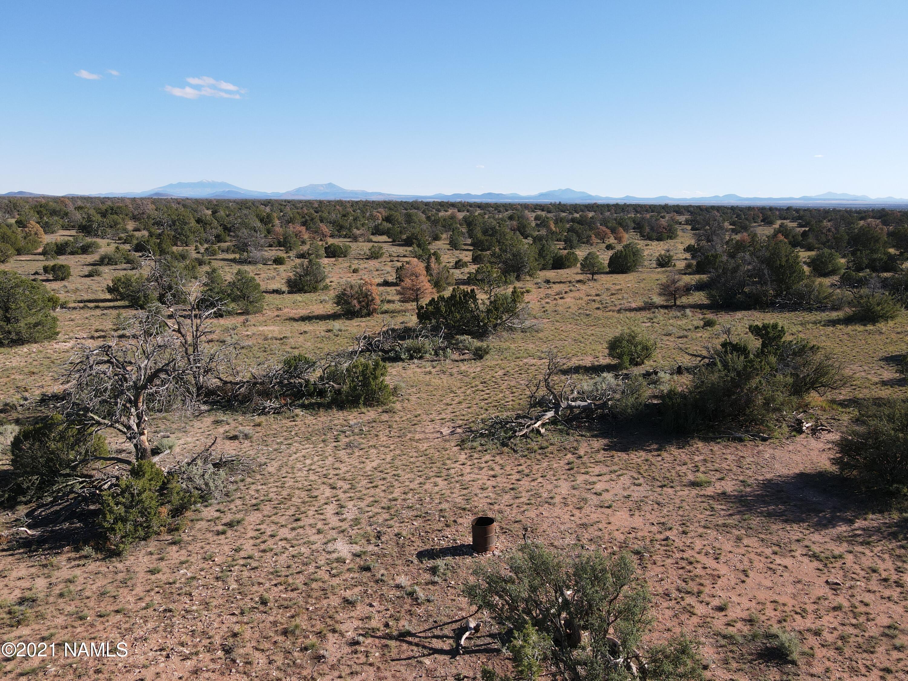 6863 North State Route 64 Williams, AZ 86046 - Photo 6 of 98 DJI_0004