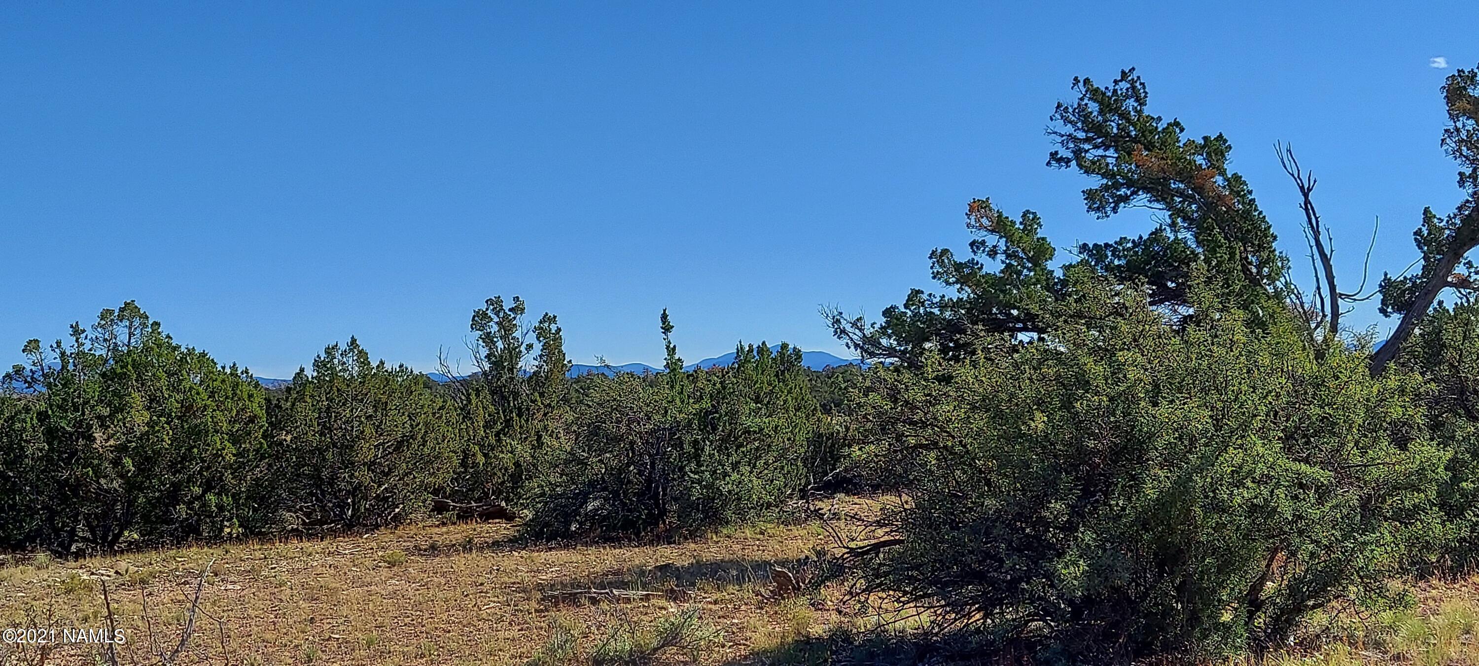 6863 North State Route 64 Williams, AZ 86046 - Photo 62 of 98 20211009_145053