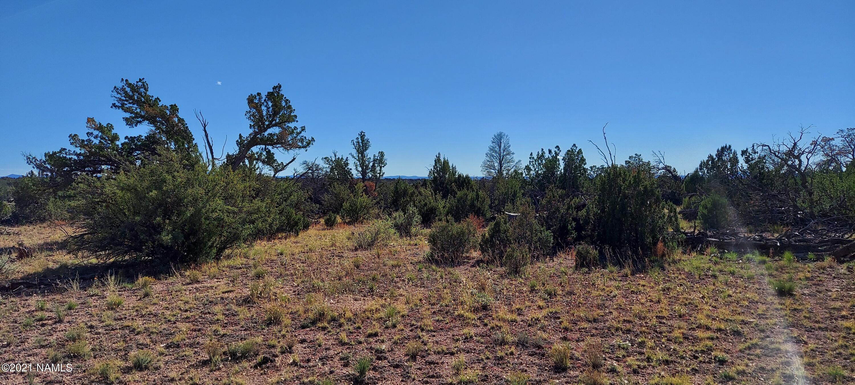 6863 North State Route 64 Williams, AZ 86046 - Photo 63 of 98 20211009_145041