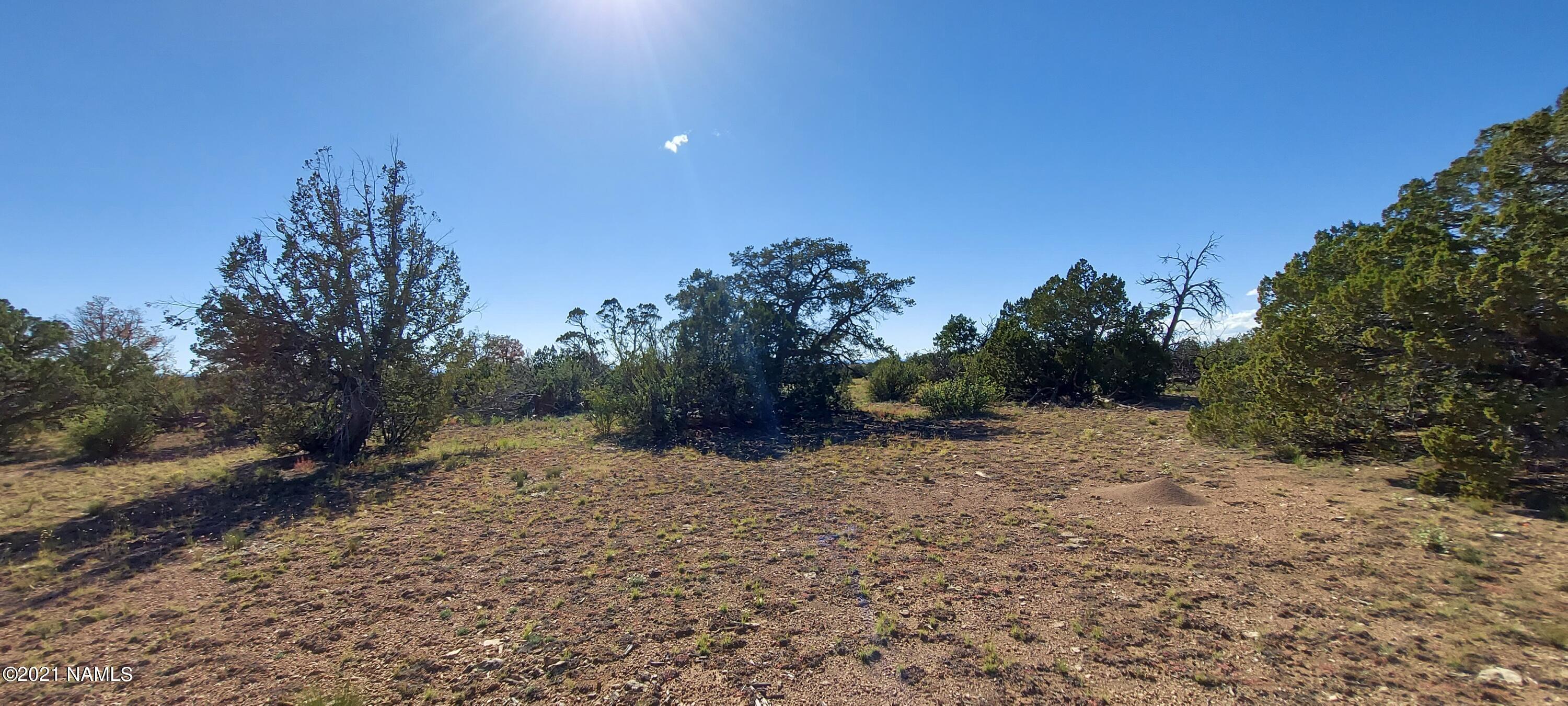 6863 North State Route 64 Williams, AZ 86046 - Photo 64 of 98 20211009_144843