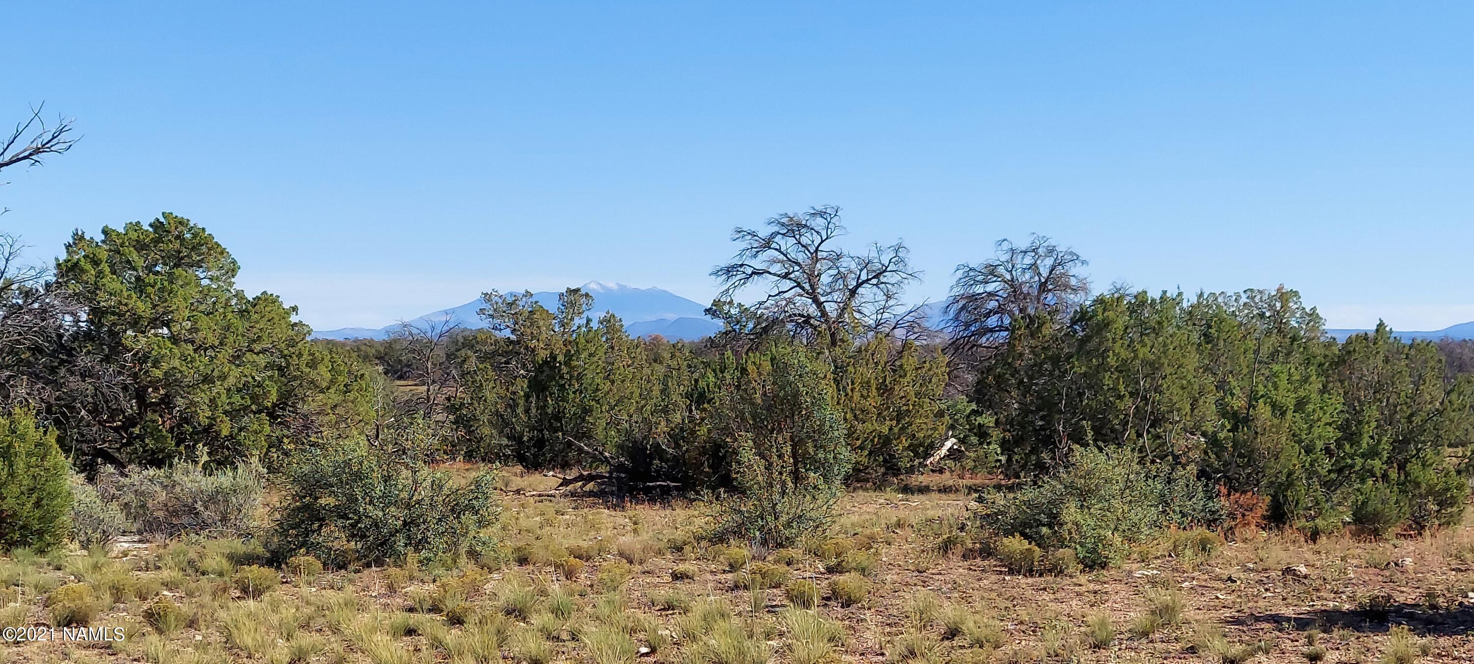 6863 North State Route 64 Williams, AZ 86046 - Photo 65 of 98 20211009_144725