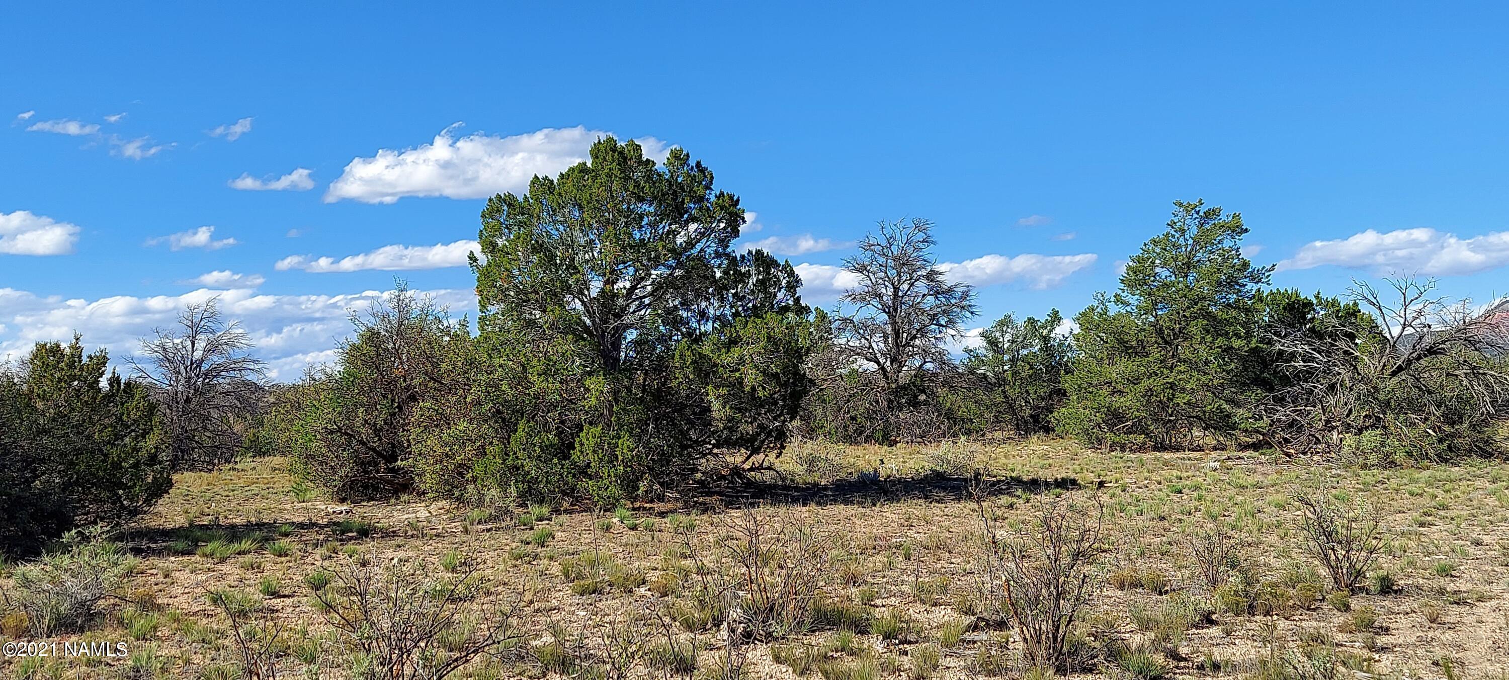 6863 North State Route 64 Williams, AZ 86046 - Photo 66 of 98 20211009_144643