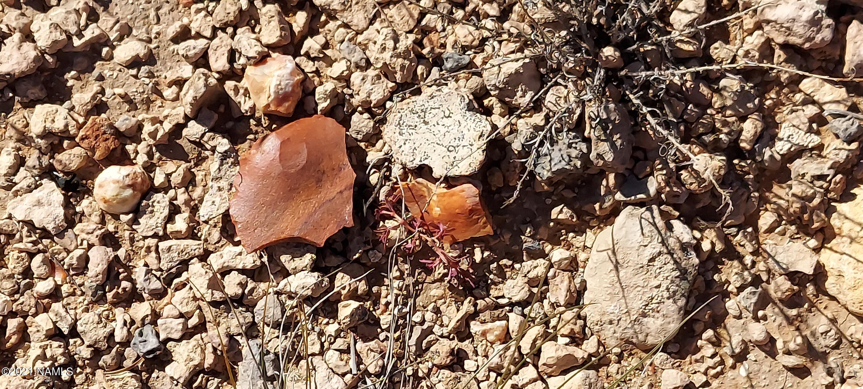 6863 North State Route 64 Williams, AZ 86046 - Photo 67 of 98 20211009_144628