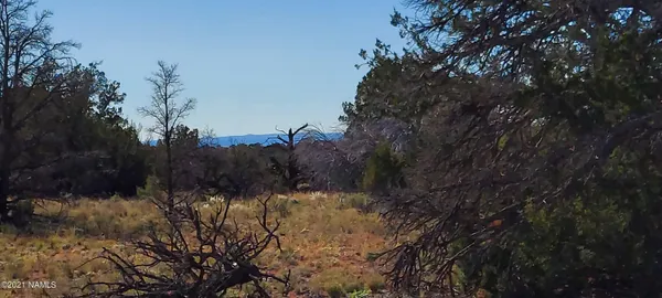 $110,000 | 6863 North State Route 64, Williams, AZ 86046