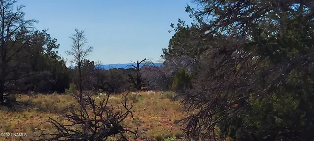 $110,000 | 6863 North State Route 64, Williams, AZ 86046